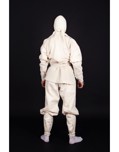 Enter the Ninja costume