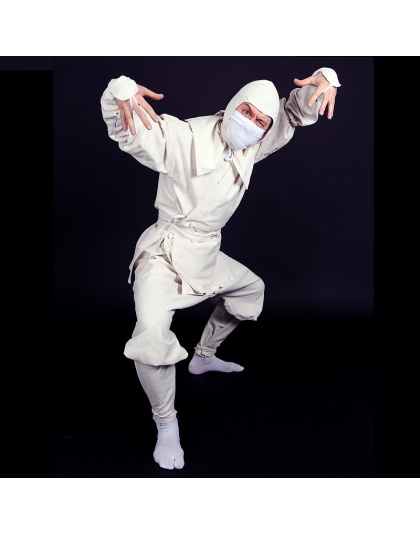 Enter the Ninja costume