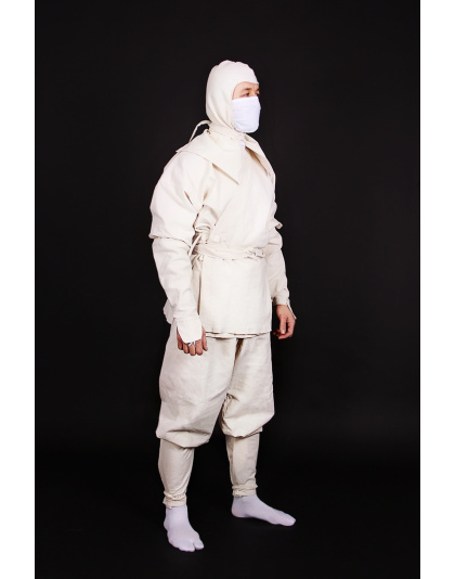 Enter the Ninja costume