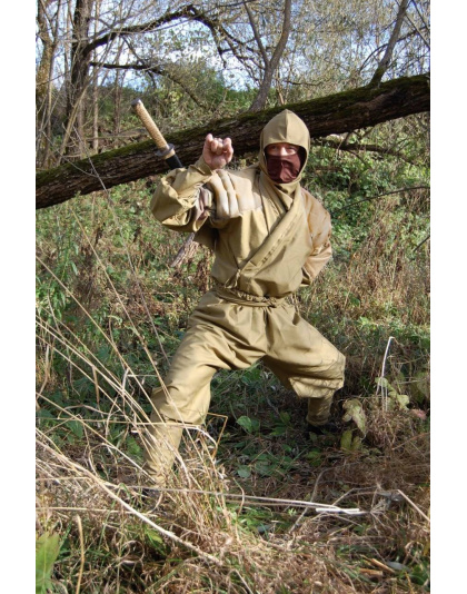 Evil Ninja Domination costume