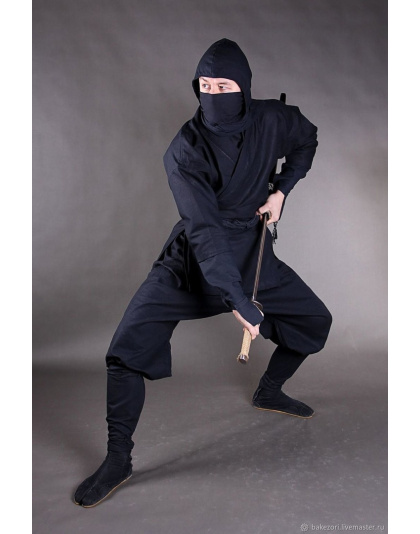 Revenge of the Ninja costume