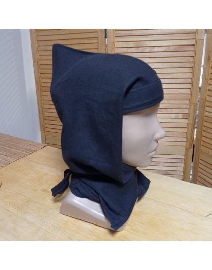 Hayabusa hood