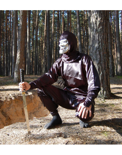 Braden ninja costume